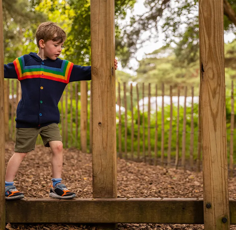 Playground favourites image